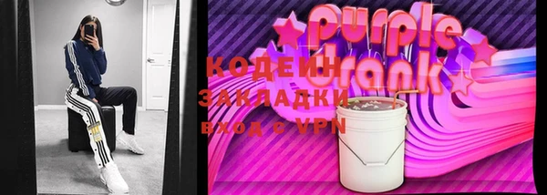 apvp Иннополис