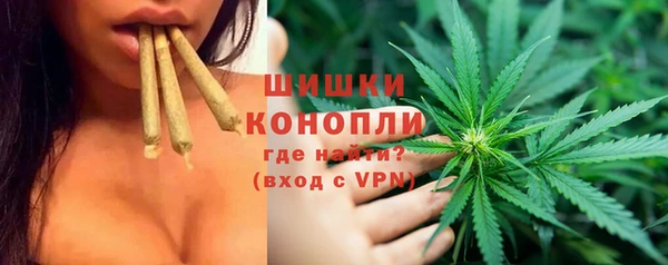 apvp Иннополис