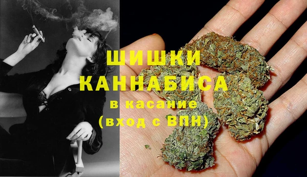 ГАЛЛЮЦИНОГЕННЫЕ ГРИБЫ Зерноград