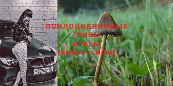 jwh Инта