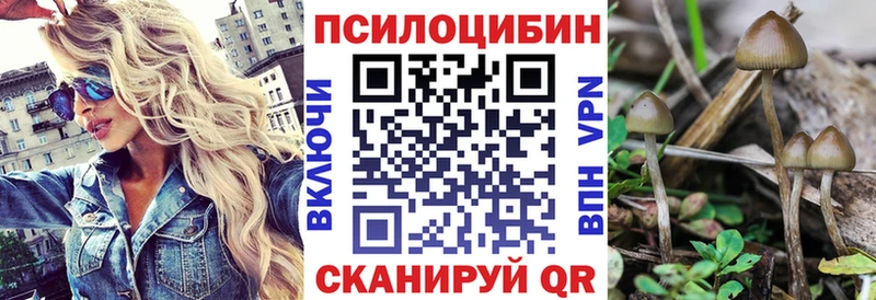 Псилоцибиновые грибы MAGIC MUSHROOMS  Купить  Асбест 